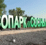 В Петровске на окраине лесопарка «Сосновый бор» установили надпись-аншлаг со светодиодной подсветкой - Петровский район