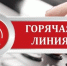 Заработала горячая линия всероссийской переписи населения - Petrowsk164.Ru