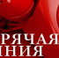 В Саратовской области начала работу телефонная горячая линия для предпринимателей - Сетевое издание Петровские вести
