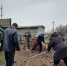 Месячник благоустройства продолжается: в Новозахаркинском муниципальном образовании идёт уборка территорий - Сетевое издание Петровские вести