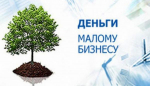 Новая программа финансовой поддержки для бизнеса