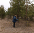 Петровские ветеринары проводят работы по профилактике бешенства среди диких животных - Сетевое издание Петровские вести