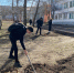 Субботник –  добрая и полезная традиция - Филиал СГТУ в г. Петровске